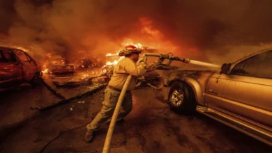 The Hollywood Hills Fire