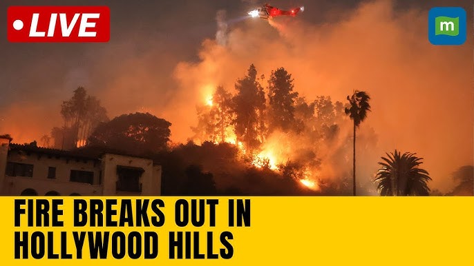 The Hollywood Hills Fire: A Deep Dive into Its Causes, Impact, and Recovery