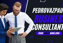 Pedro Vaz Paulo as a Business Consultant