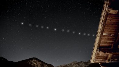 What Is Starlink