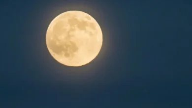 The Moon Is Beautiful Isn't It