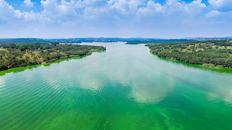 Lake Texoma Should Be Capitalised