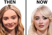 Sabrina Carpenter: A Journey From Disney to Global Pop Stardom Sabrina Carpenter